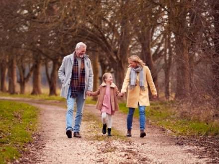 Bloomingdale, IL Grandparent Guardianship Lawyer